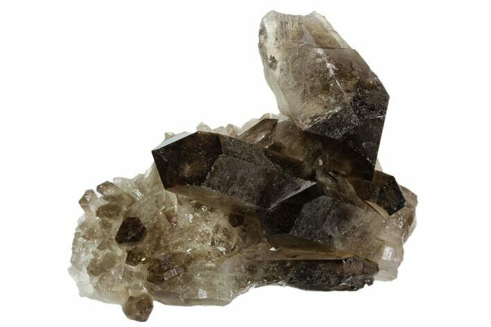 Dark Smoky Quartz Crystal Cluster - Brazil #124563